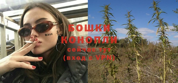 дурь Арсеньев